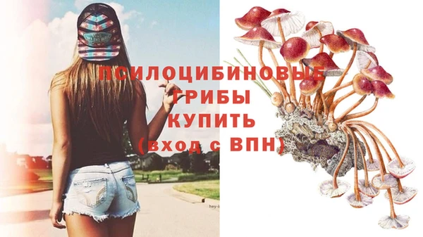 дурь Алексеевка