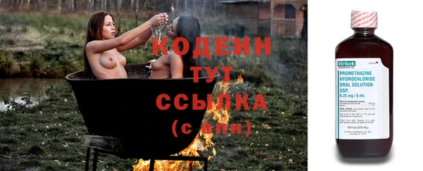 дурь Алзамай