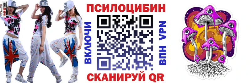 Галлюциногенные грибы MAGIC MUSHROOMS  продажа наркотиков  Курлово 
